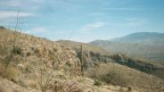 photo thumbnail #6