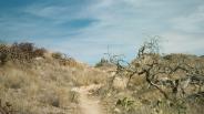 photo thumbnail #10