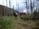 photo thumbnail #5