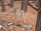 photo thumbnail #8