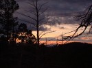 photo thumbnail #12
