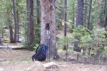 photo thumbnail #2