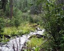 photo thumbnail #2