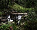 photo thumbnail #4