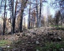 photo thumbnail #6