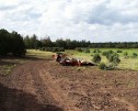photo thumbnail #4