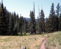 photo thumbnail #4