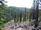 photo thumbnail #8