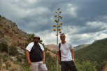 photo thumbnail #7