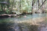 photo thumbnail #9