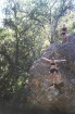 photo thumbnail #5