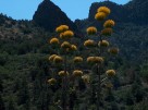 photo thumbnail #12