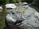 photo thumbnail #13