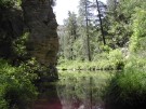 photo thumbnail #7