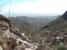 photo thumbnail #3