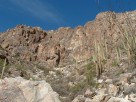 photo thumbnail #4
