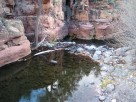 photo thumbnail #6