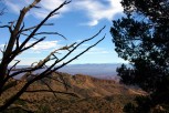 photo thumbnail #6