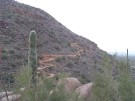 photo thumbnail #5