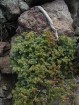 photo thumbnail #14