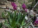 photo thumbnail #14