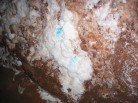 photo thumbnail #12