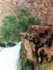 photo thumbnail #15