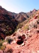 photo thumbnail #2