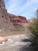 photo thumbnail #15