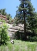 photo thumbnail #12