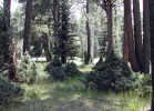 recent photo