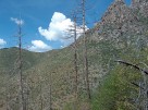 photo thumbnail #12