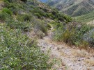 photo thumbnail #10