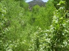 photo thumbnail #15