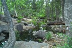 photo thumbnail #1