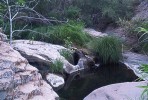 photo thumbnail #5