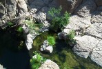 photo thumbnail #13