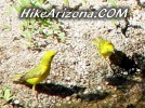 photo thumbnail #8