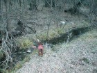 photo thumbnail #2