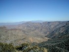 photo thumbnail #8