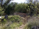 photo thumbnail #11