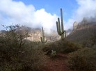 photo thumbnail #3