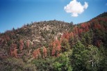 photo thumbnail #6