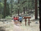 photo thumbnail #1