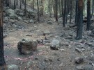 photo thumbnail #10