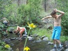 photo thumbnail #11