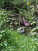 photo thumbnail #13