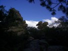 photo thumbnail #7