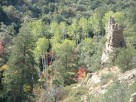 photo thumbnail #3