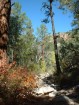 photo thumbnail #9